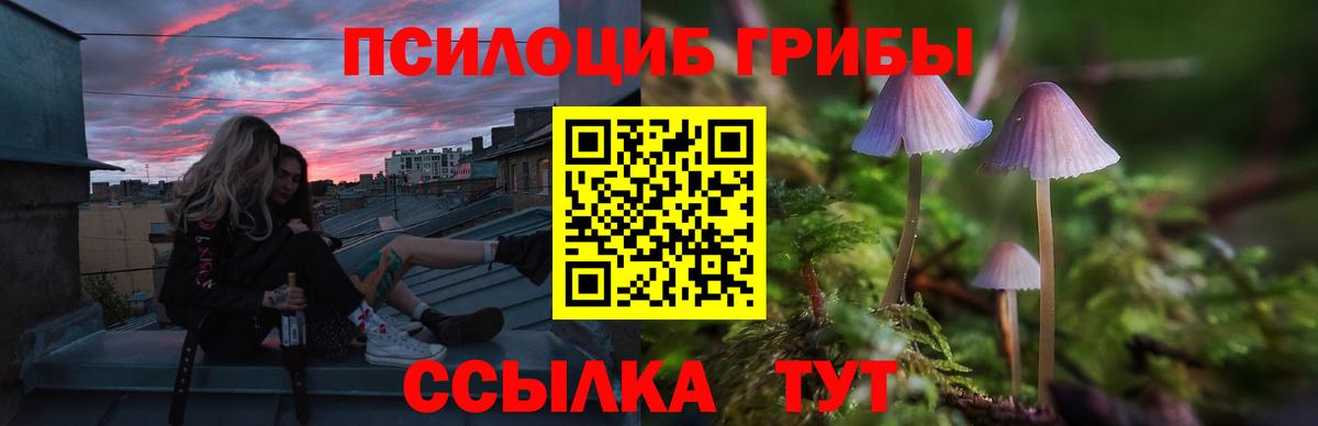 Галлюциногенные грибы Cubensis  купить закладку  Вход с VPN  Новочеркасск  Псилоцибиновые грибы GOLDEN TEACHER 